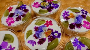 43047674_270245810291285_2038766004124778496_n