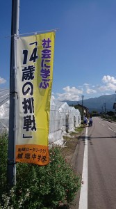 43163711_722830888060735_881403426024456192_n