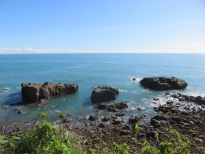 43388246_1898246226920101_5948050253465780224_n