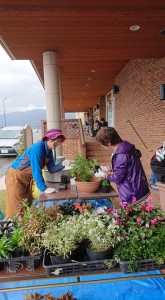 43422175_1924002871011103_4410276499198836736_n