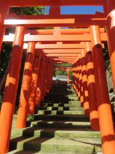 43580098_1147063992135294_674598568878669824_n