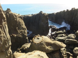 43604071_690485468015386_8269163293050929152_n