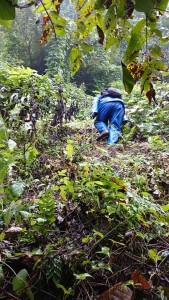 43647270_1904985079579549_7269735054790623232_n