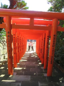 43704604_602721136810102_2328790366641192960_n