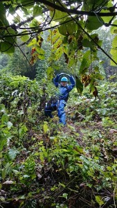 43739994_1904985146246209_6623533392333897728_n