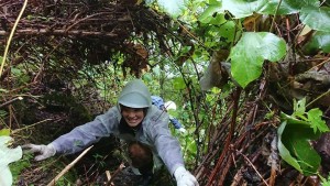 43741599_1904985329579524_6230431339426873344_n