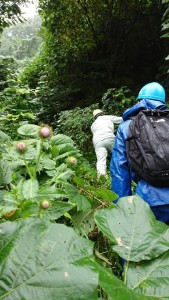 43756763_1904985192912871_6558372085549236224_n