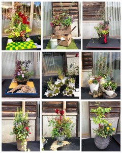 43788158_1916802745067849_7323733196112134144_n