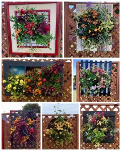 43828788_1916782595069864_7026729296991354880_n