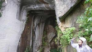 43950504_1904985542912836_4070742433753726976_n