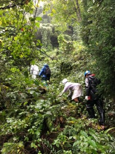 43952154_173344606903014_4710239158340157440_n