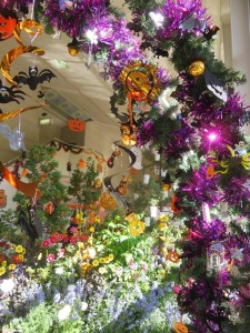 44124511_1238859542923227_4998784273990287360_n