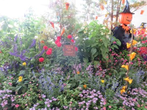 44126965_1031398613699453_7367815907214622720_n