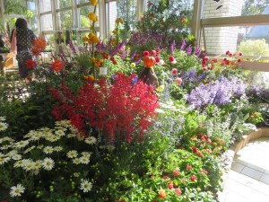 44177311_299034530823193_3755134591732547584_n