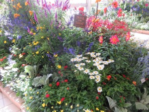 44188852_567018190384606_8619198068203454464_n