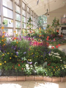 44206412_410752462791087_1170835357931929600_n