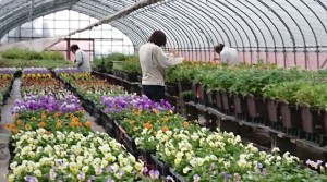 44362691_1929225557143511_4636182025097707520_n