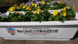 44402581_311046862815480_4075696506730971136_n