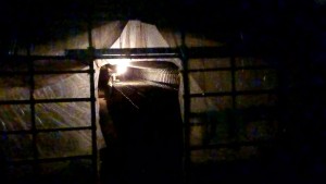 44410659_467310127011046_2302557019929837568_n