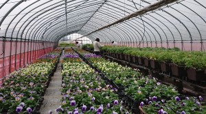 44490339_2249118098492870_7697596050390908928_n