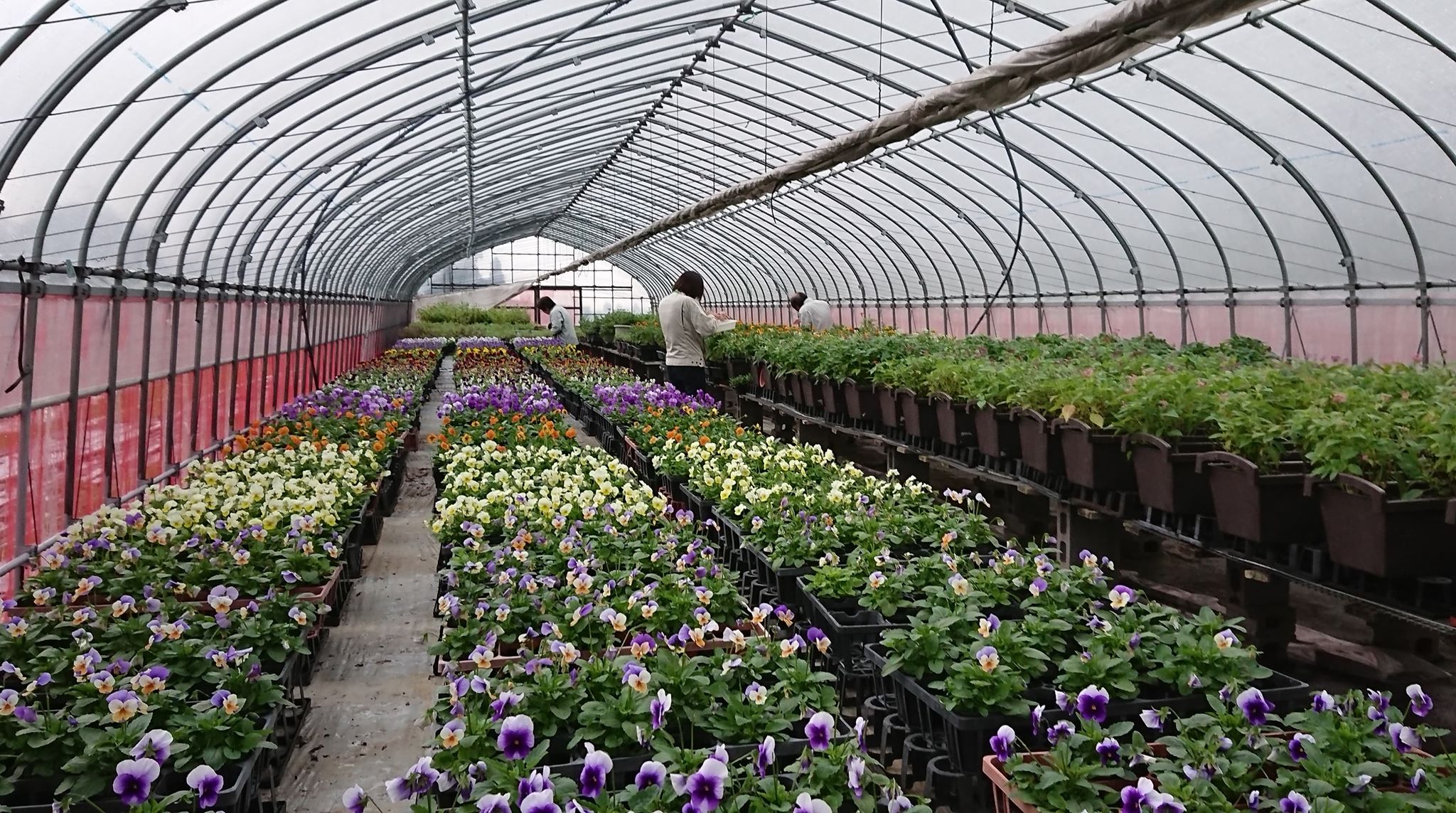 虫チェック！！