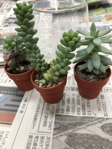 44516897_1158885414268372_5976389512836677632_n