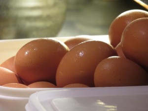 44598622_1919870068091050_1964910279078707200_n