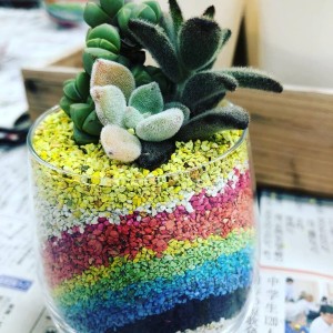 44613909_1220300804795866_8547131841281261568_n