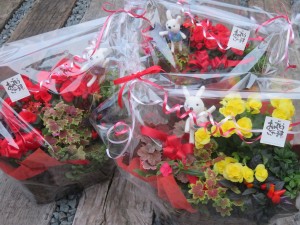 44701847_1446992988766094_5043961544623259648_n