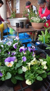 44815478_1924002997677757_2828666401743437824_n