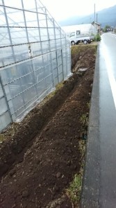 44948731_359563641459634_193253754290569216_n