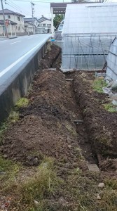 44953688_721208108258136_3656863416422760448_n