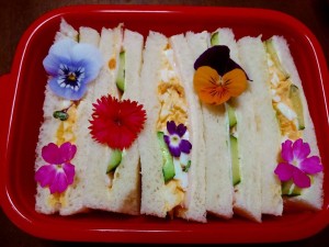 45043751_691344654582606_9142719225415073792_n