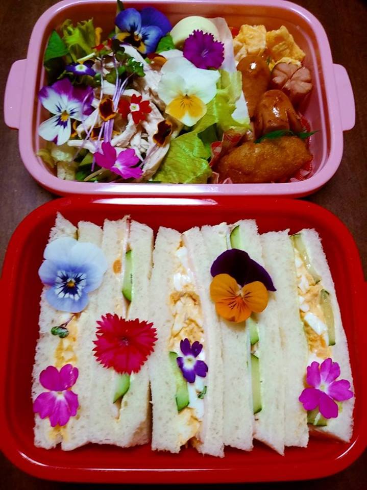可愛いお弁当♪