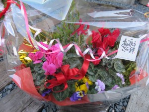 45353054_324931938294847_5840271029879963648_n