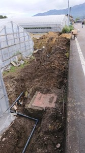 45582294_502893843521941_9178699205835751424_n