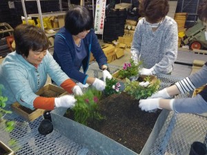 45651786_1995894737370002_9042399694302478336_n