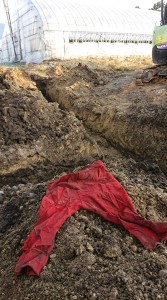 45683755_750872048579149_5034059334313574400_n