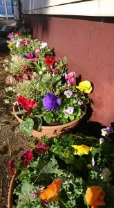 45698617_1945599548851435_1479086346176823296_n