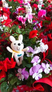 45876454_1949306288480761_4891792073096691712_n