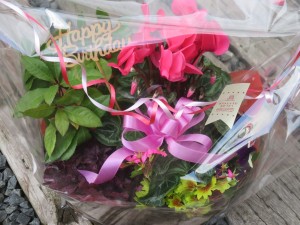 46033580_974969399377715_7524420026963591168_n