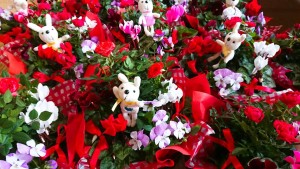 46047359_1949306248480765_1021999085969735680_n