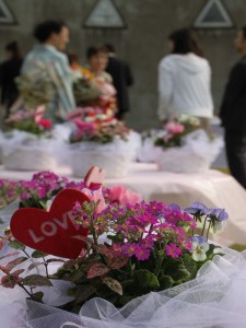 46482235_198079137747863_2192389360735748096_n