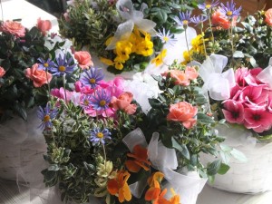 46485535_347893002683719_2528546658468233216_n