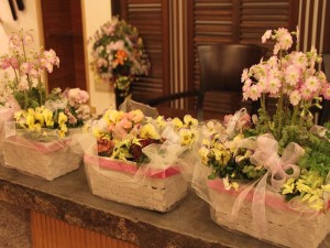 46491885_2526902434203535_6793169160118468608_n