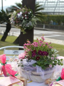 46495467_286978618599125_4780014368102285312_n