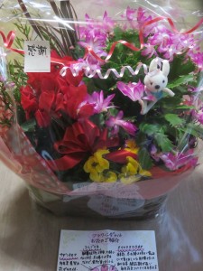 46496120_264407817761602_4520700460566315008_n