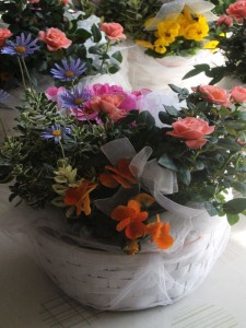 46514256_2297922000483957_1685633595479162880_n