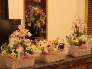 46517128_340632803402466_870333796359077888_n