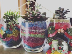 46750669_1251642994994980_5063229102920564736_n